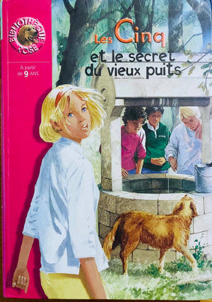 Les Cinq et le secret du vieux puits